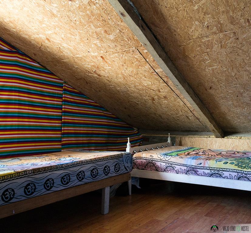 Viejo Lobo Hostel Cabo Polonio Εξωτερικό φωτογραφία
